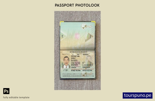 Plantilla de apariencia de foto de pasaporte de Salvador lista para imprimir